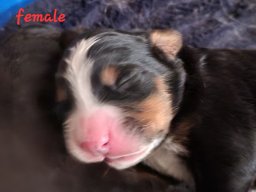 FEB 2025 Litter