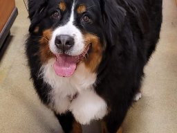 Matilda